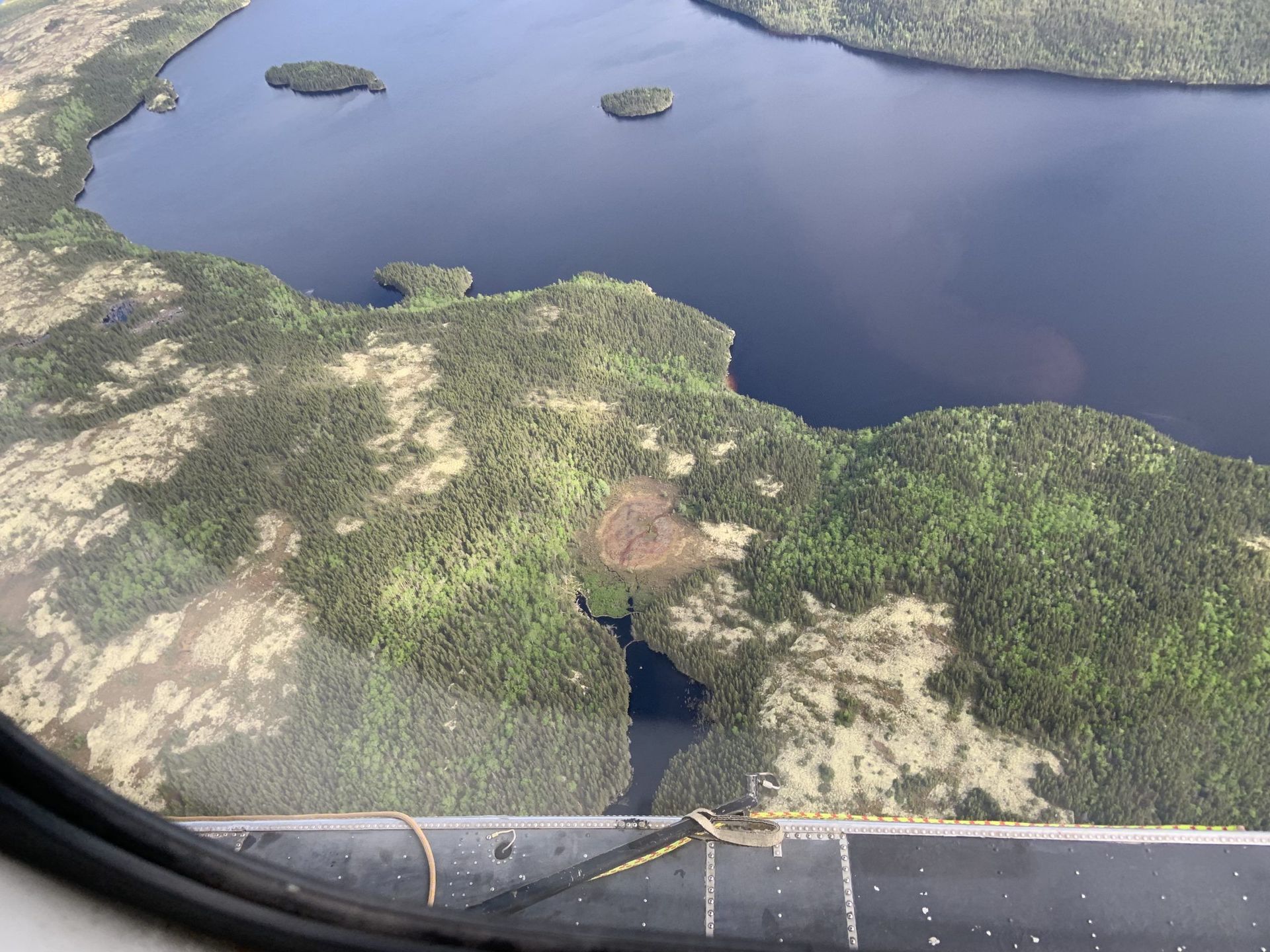 Une vue aérienne d'un lac entouré d'arbres