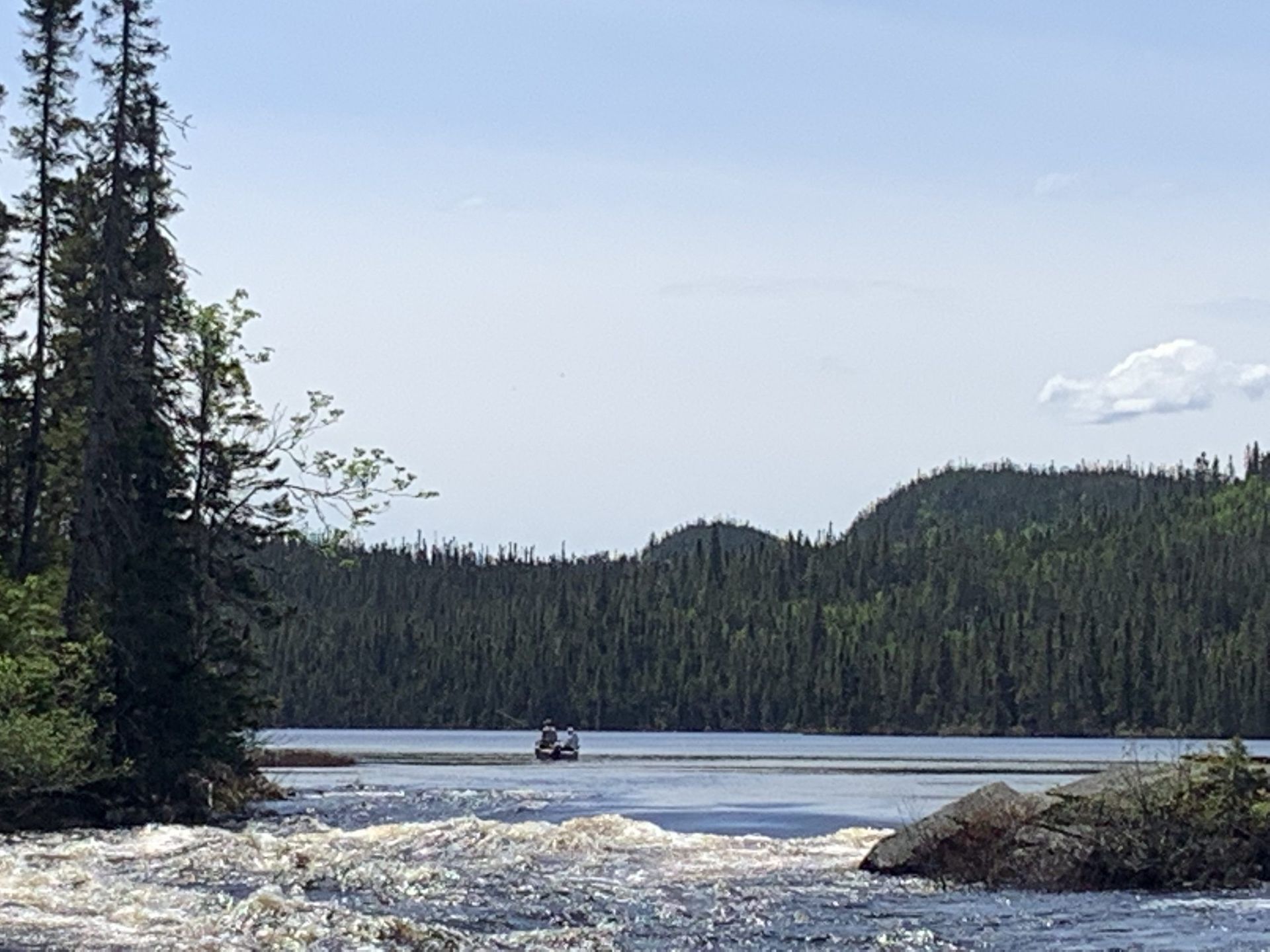 Un bateau descend une rivière au milieu d'une forêt.