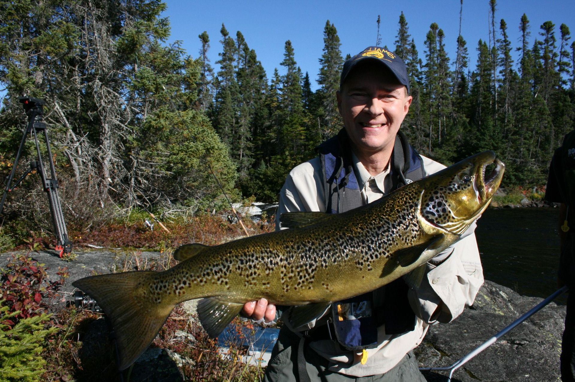Un homme tient un gros poisson brun dans ses mains
