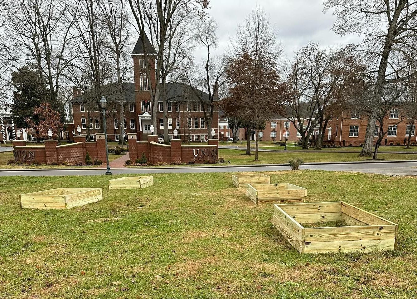 New garden site on College Street.