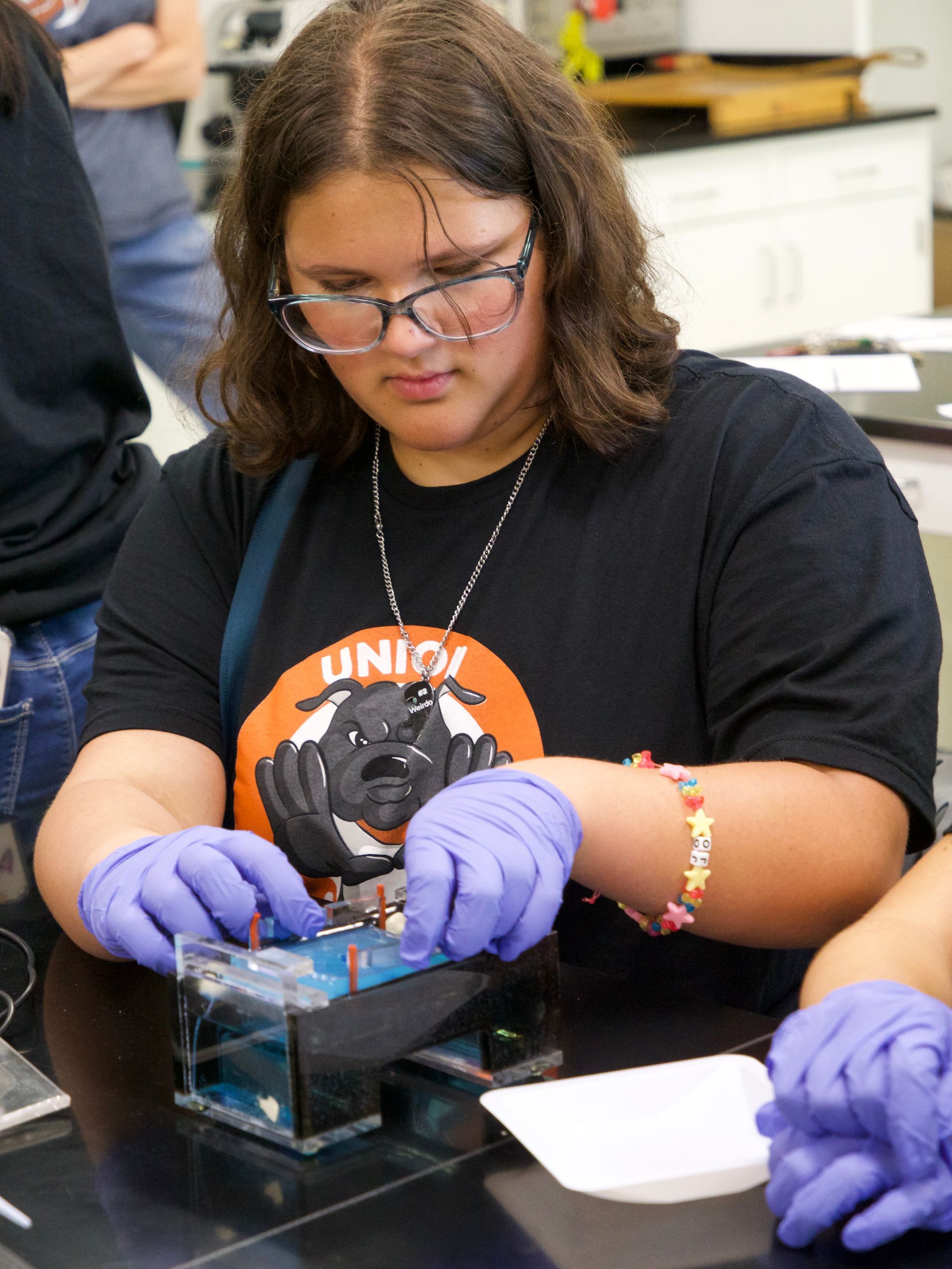 Students working on a crime lab activity.