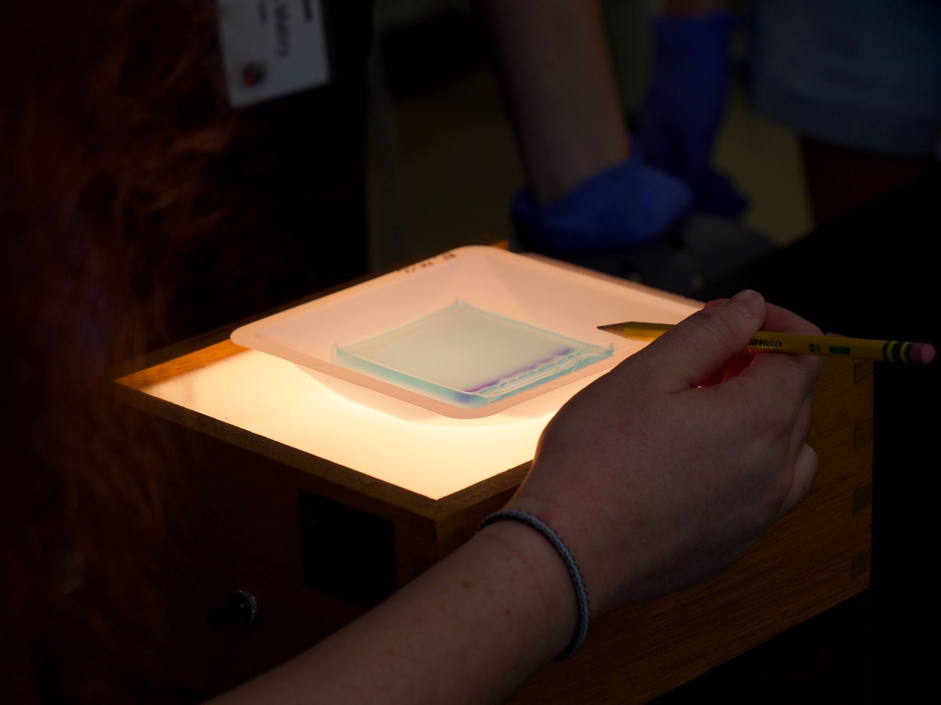 A slab of blue gel with patterns being examined over a light box.
