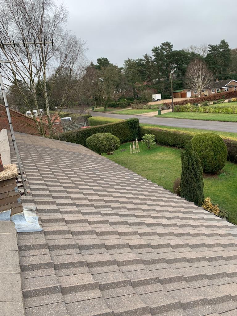 Roof Cleaning Project 4 Image 8