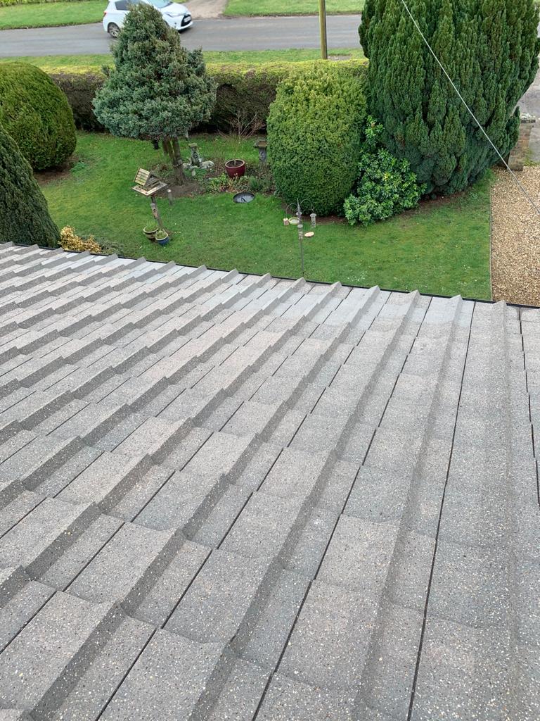 Roof Cleaning Project 4 Image 7