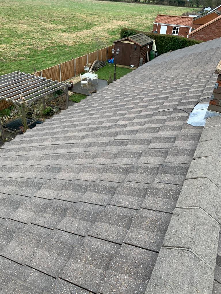 Roof Cleaning Project 4 Image 5