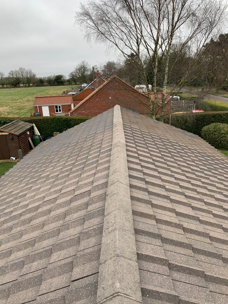 Roof Cleaning Project 4 Image 6