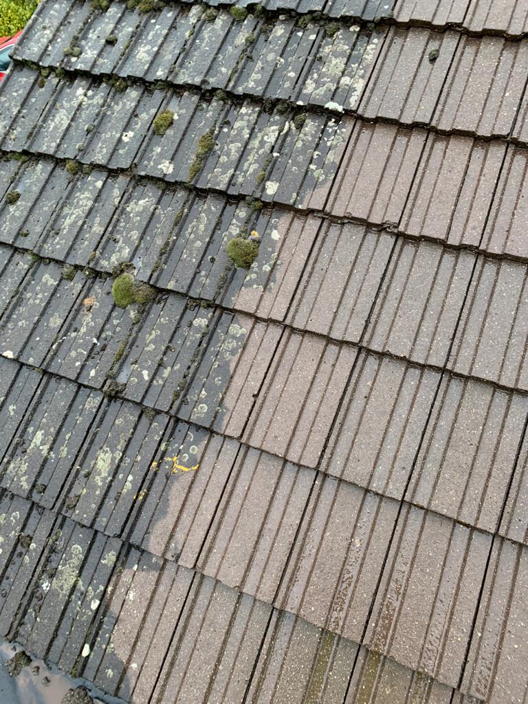 Roof Cleaning Project 5 Image 2
