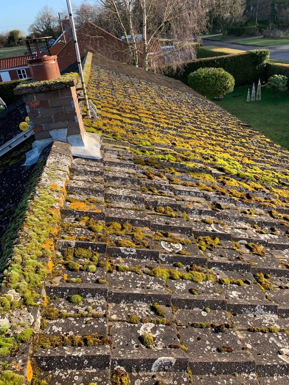 Roof Cleaning Project 4 Image 2