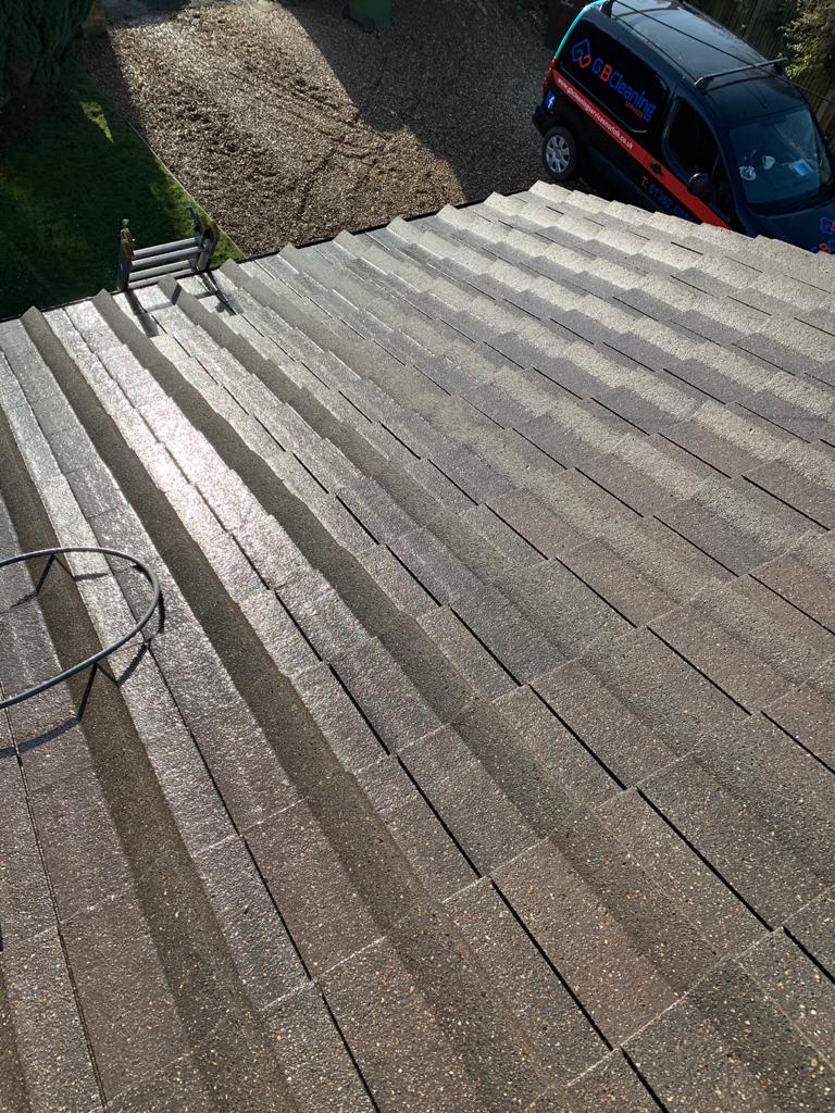 Roof Cleaning Project 4 Image 4