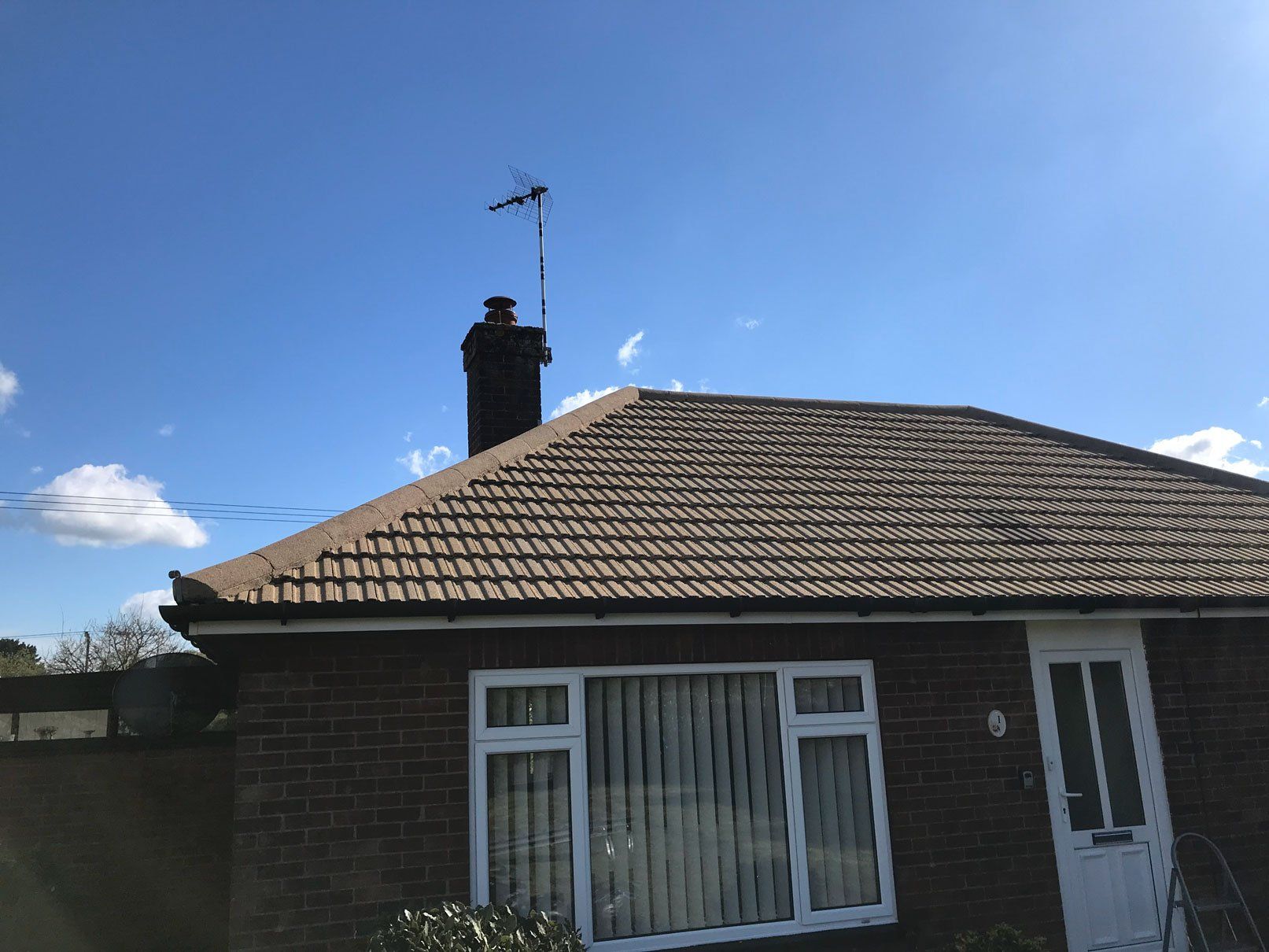 Roof Cleaning Project 3 Image 2