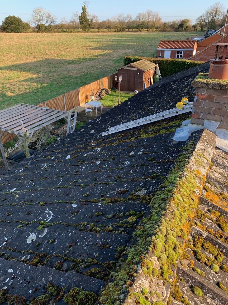 Roof Cleaning Project 4 Image 1
