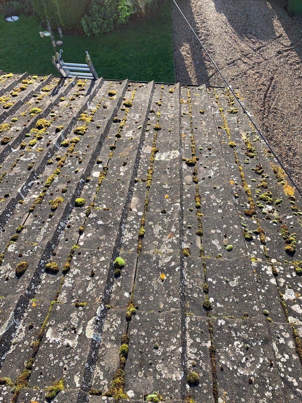 Roof Cleaning Project 4 Image 3