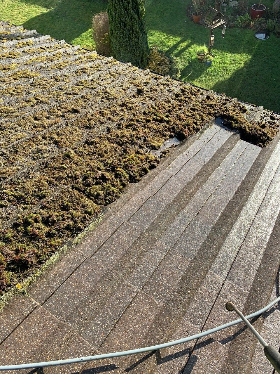 Roof Cleaning