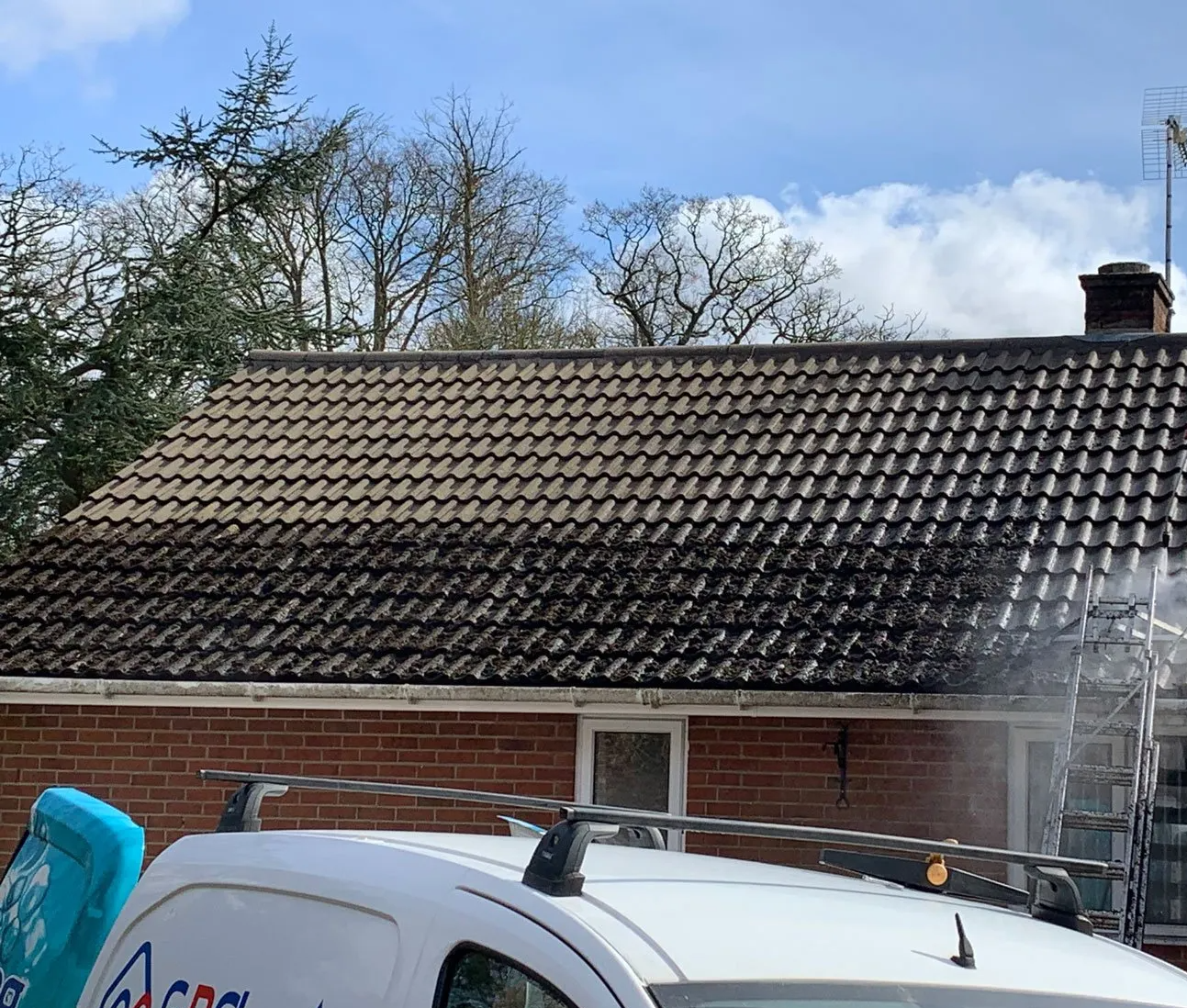 Roof Cleaning Project 1 Image 2