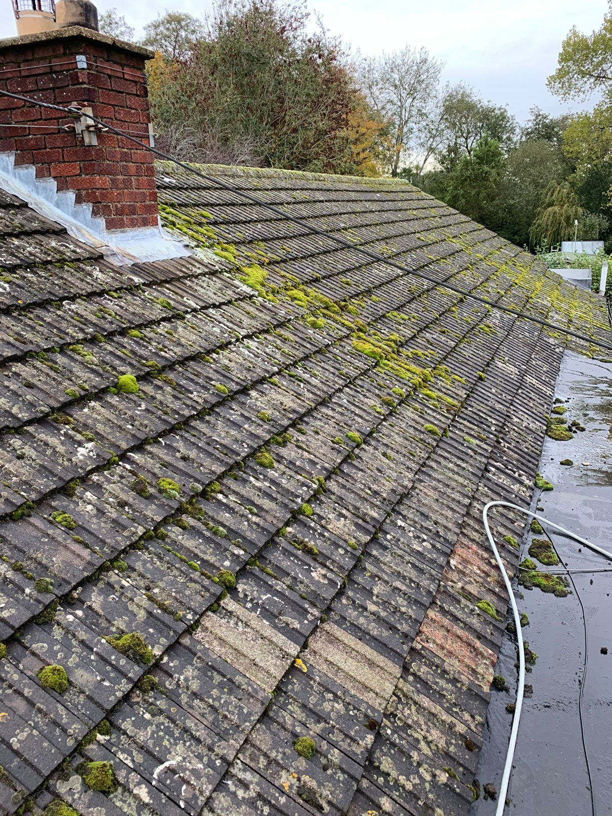 Roof Cleaning Project 5 Image 1