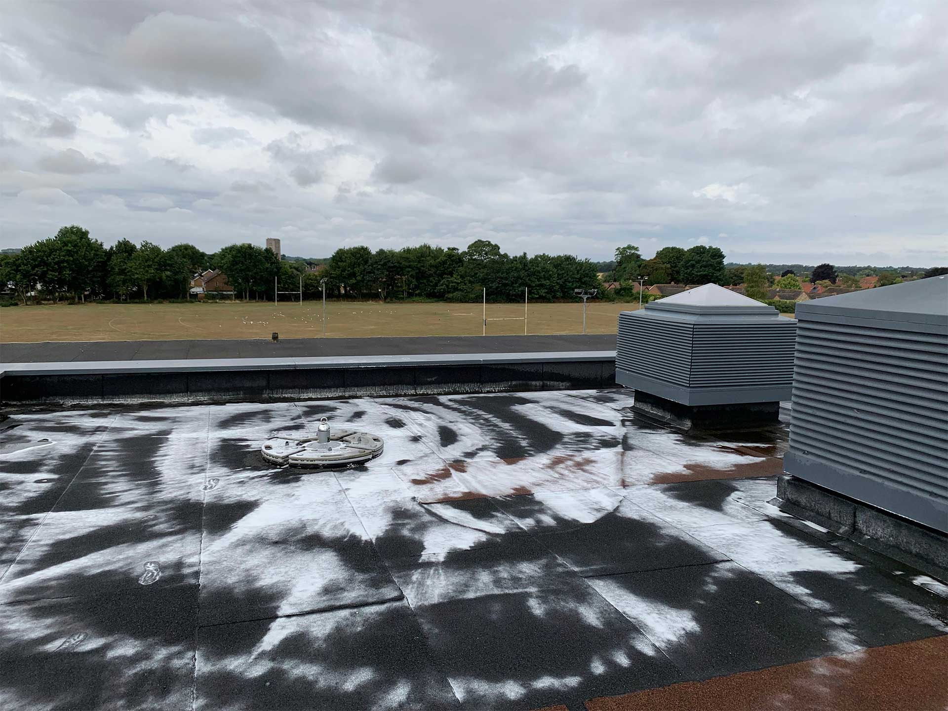 Roof Cleaning
