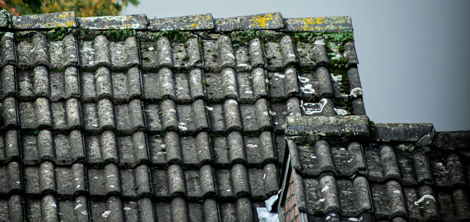 asbestos roof cleaning