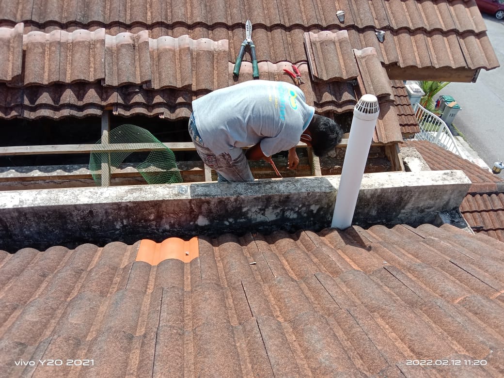 1-top-bird-dropping-removal-services-pro-cleaner