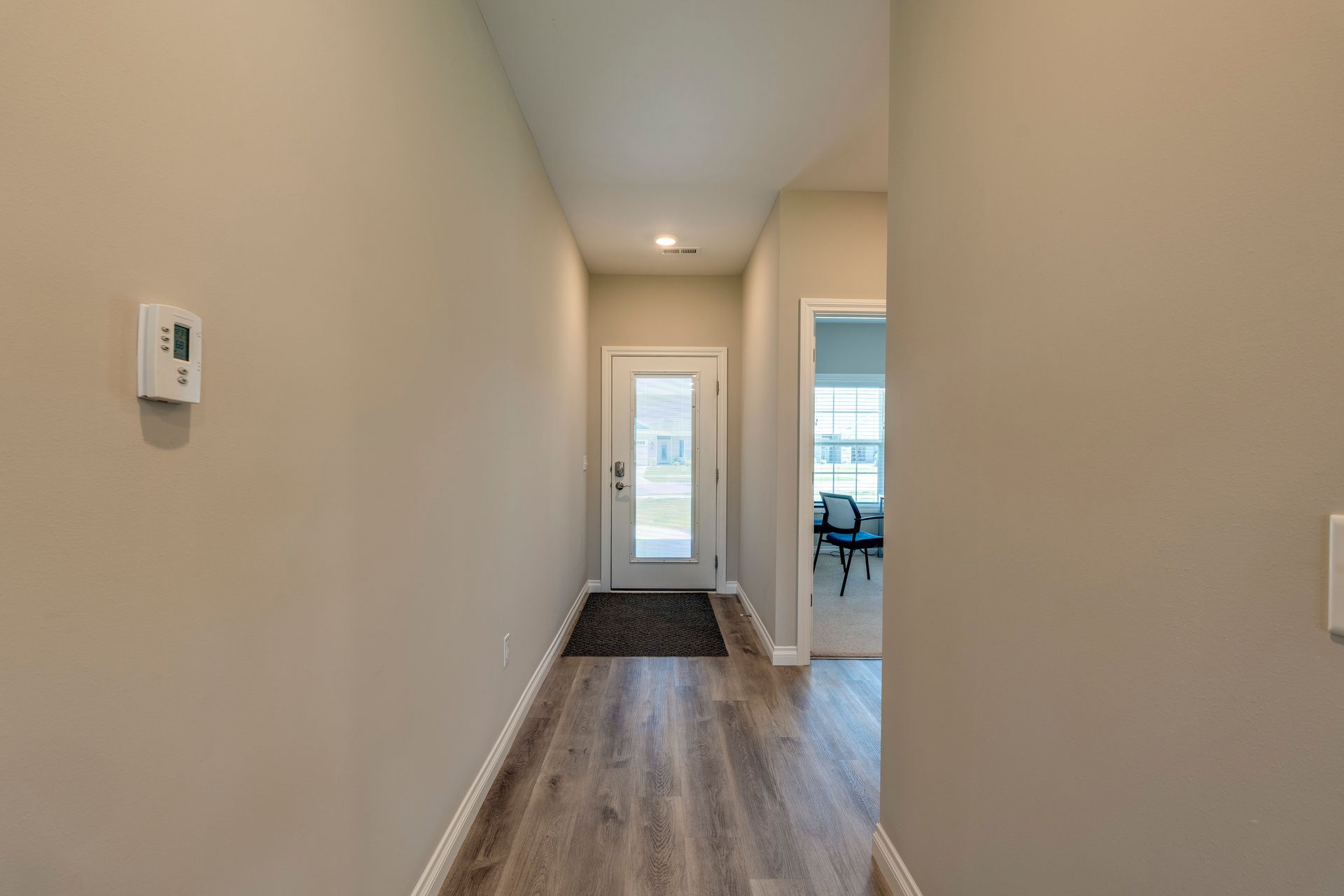 Hallway with light gray walls, wood-look flooring, and a glass-paneled door at the end.