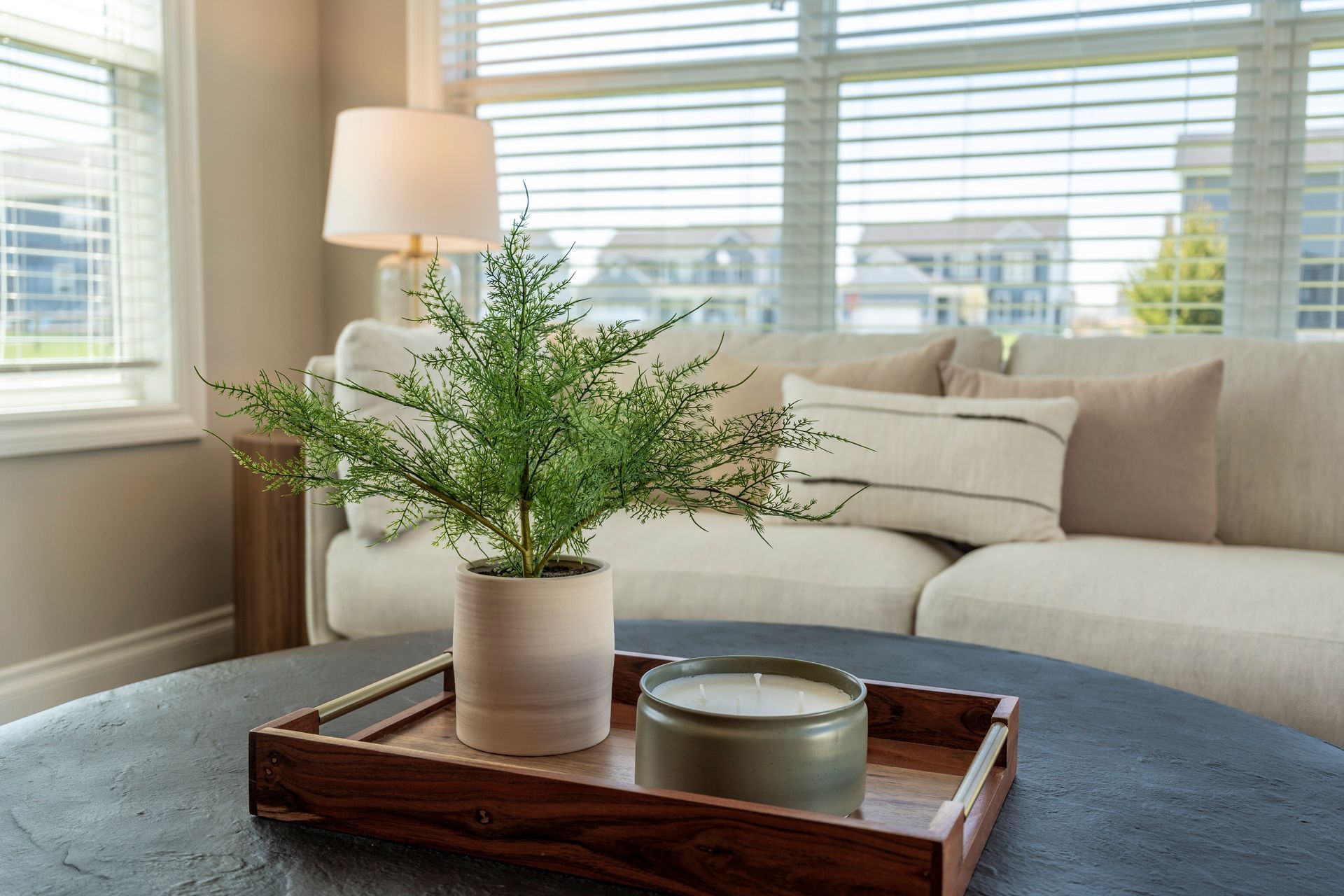 Living room with sofa, coffee table, plant, candle, and window with blinds.