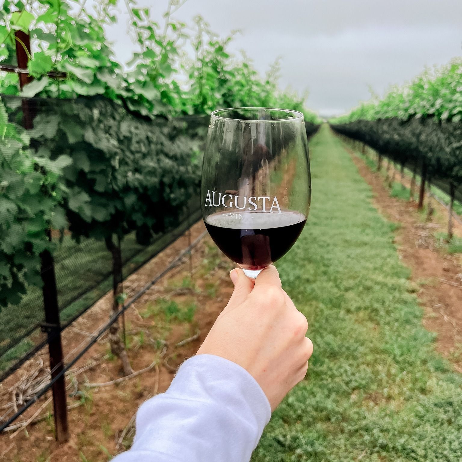 Private Wine Tours Fredericksburg, TX | All About Wine Tours