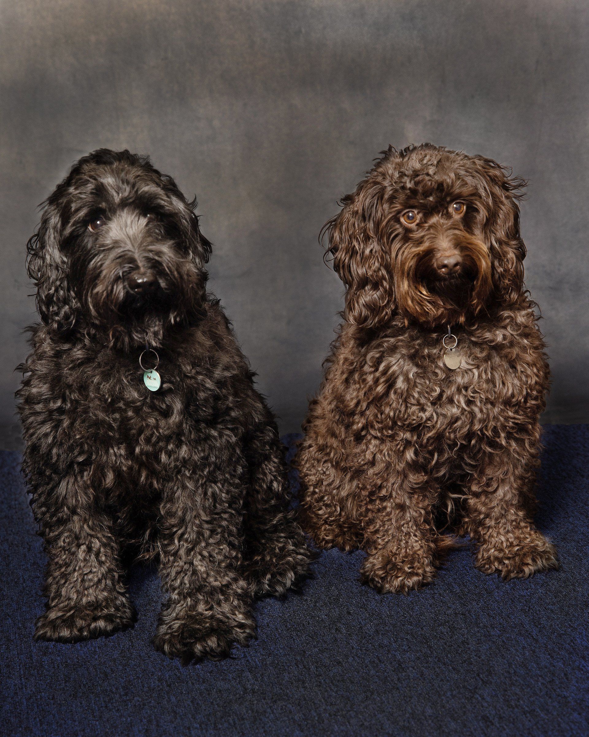 Arthur & Maddy | Legal Accounts