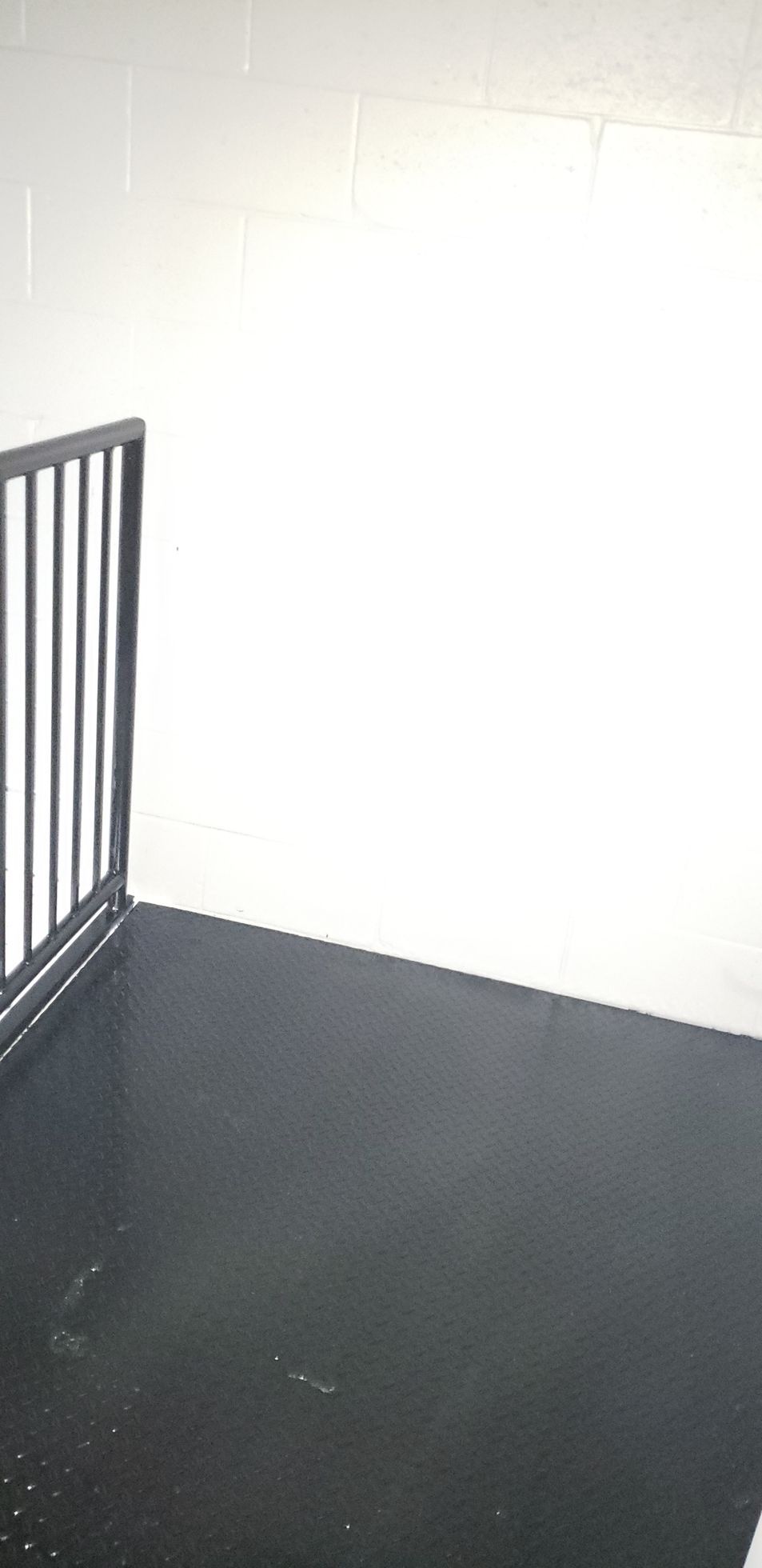 An empty room with a black floor and a white wall.