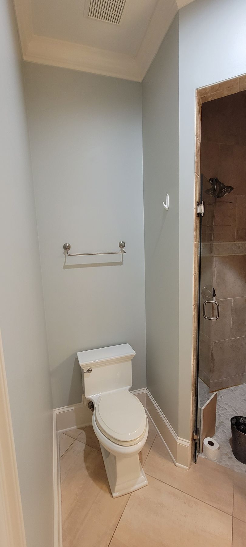A bathroom with a toilet and a shower.