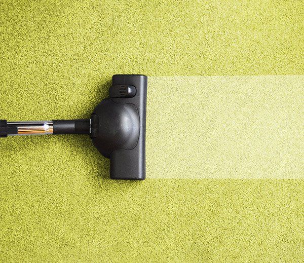 Green Carpet — Carpet Cleaning In Townsville QLD