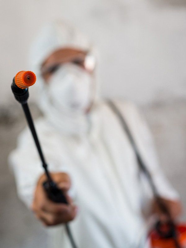 Insecticide Spray — Carpet Cleaning In Townsville QLD