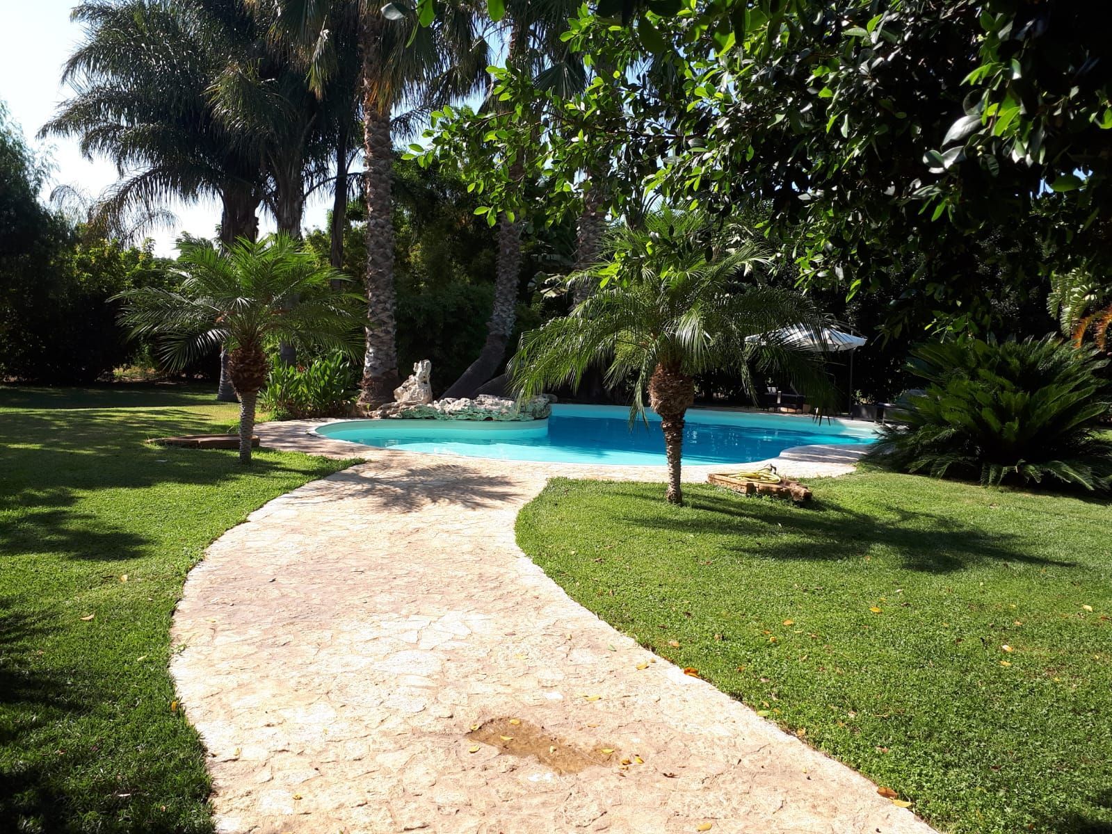 piscina e giardino