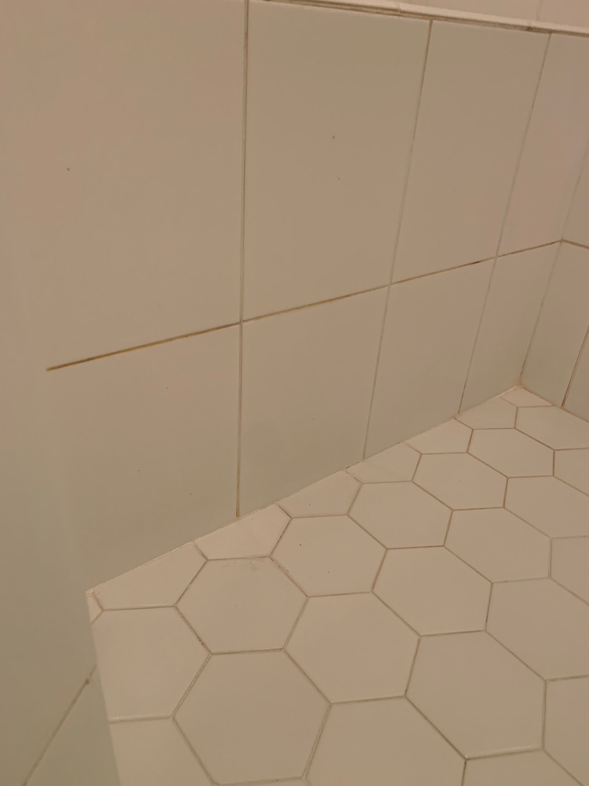 A person is holding a shower head in their hand in a bathroom.