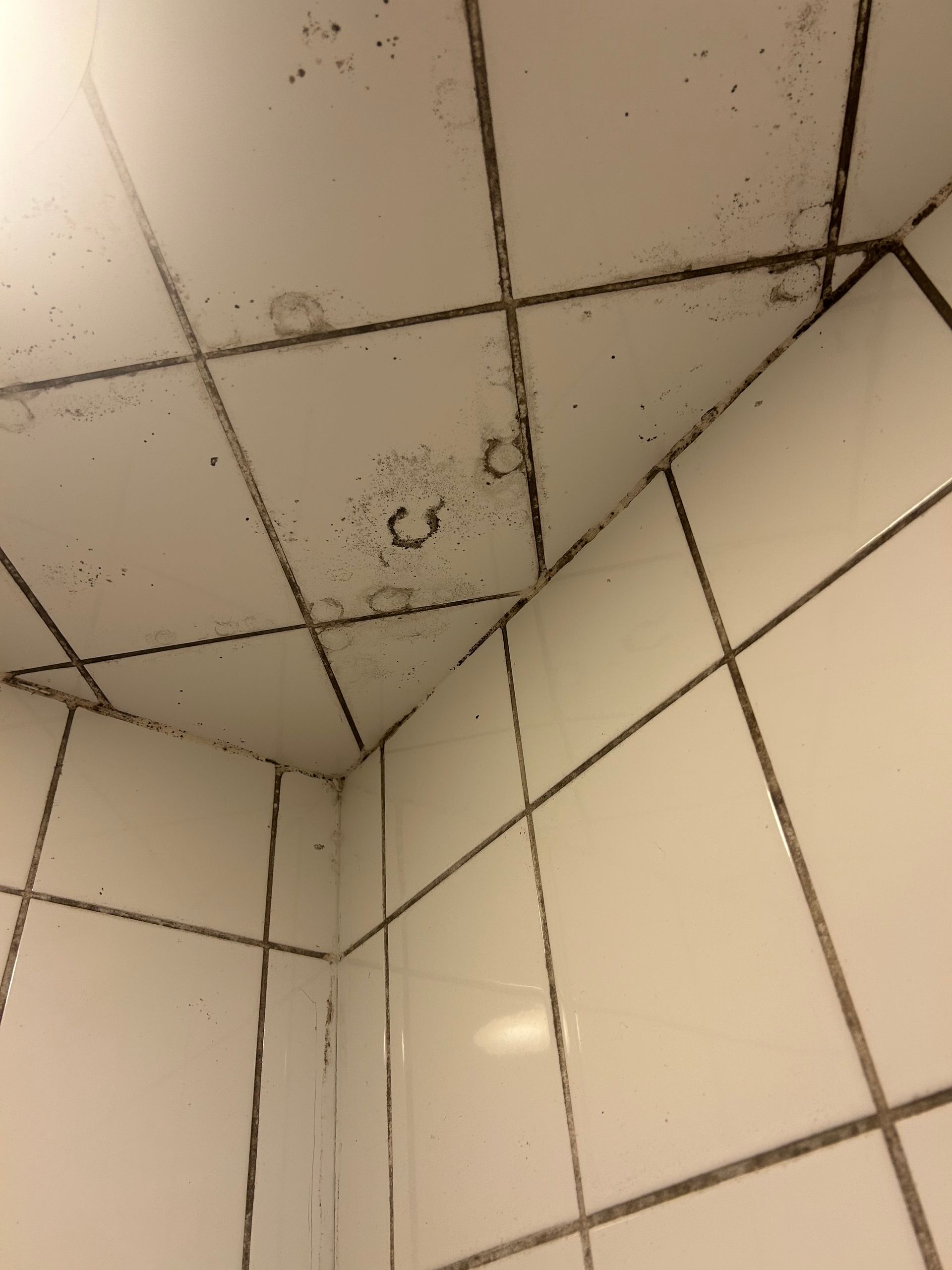 A close up of a tiled floor in a bathroom next to a toilet.