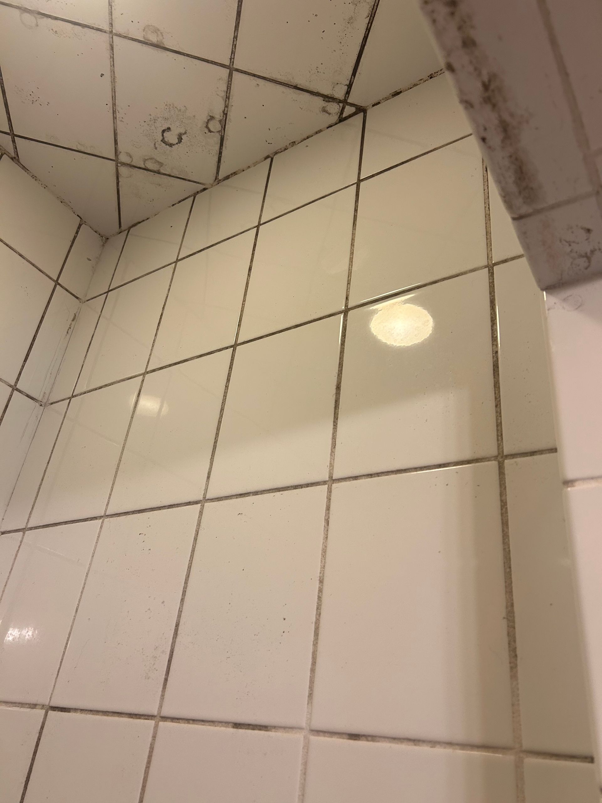 A shower stall with a glass door and white tiles in a bathroom.