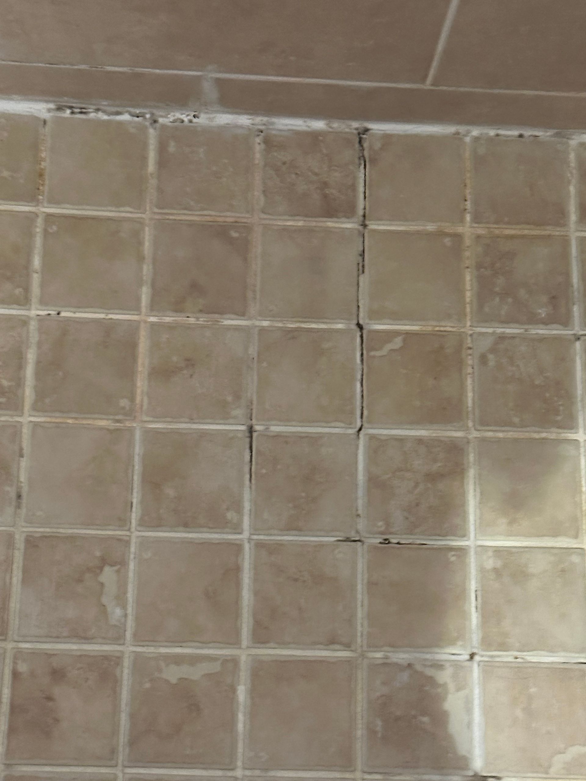 A shower stall with a glass door and white tiles in a bathroom.