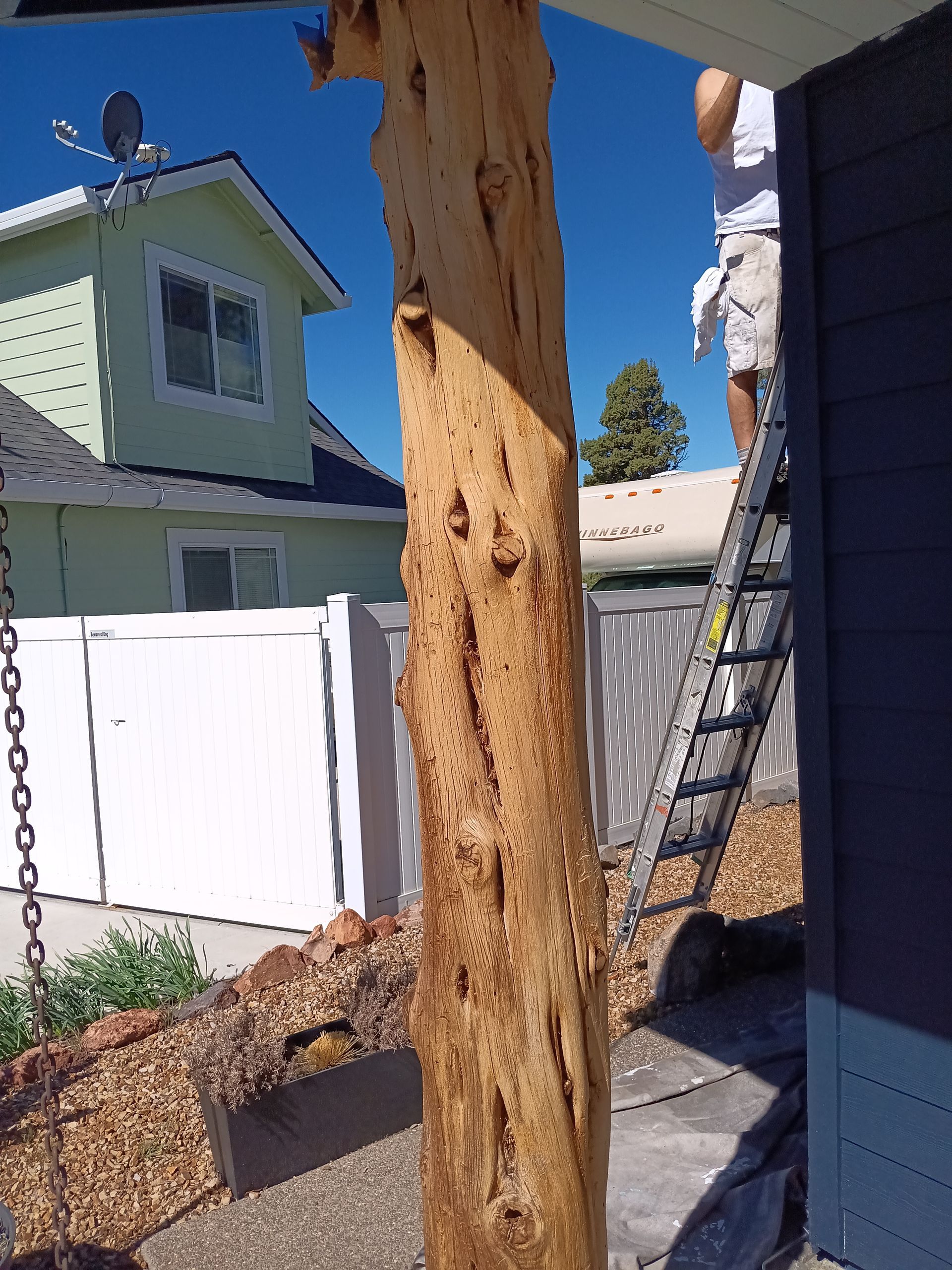 Tree trunk in a backyard, with a ladder leaning against a house and a white fence in the background.