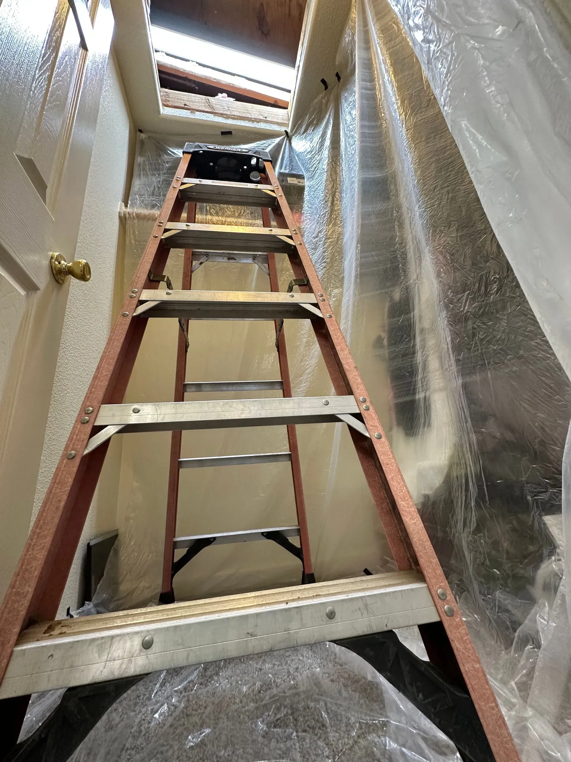 pest control inspection