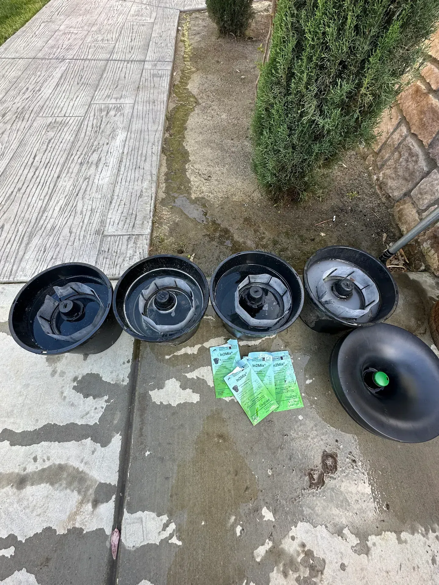 pest control inspection