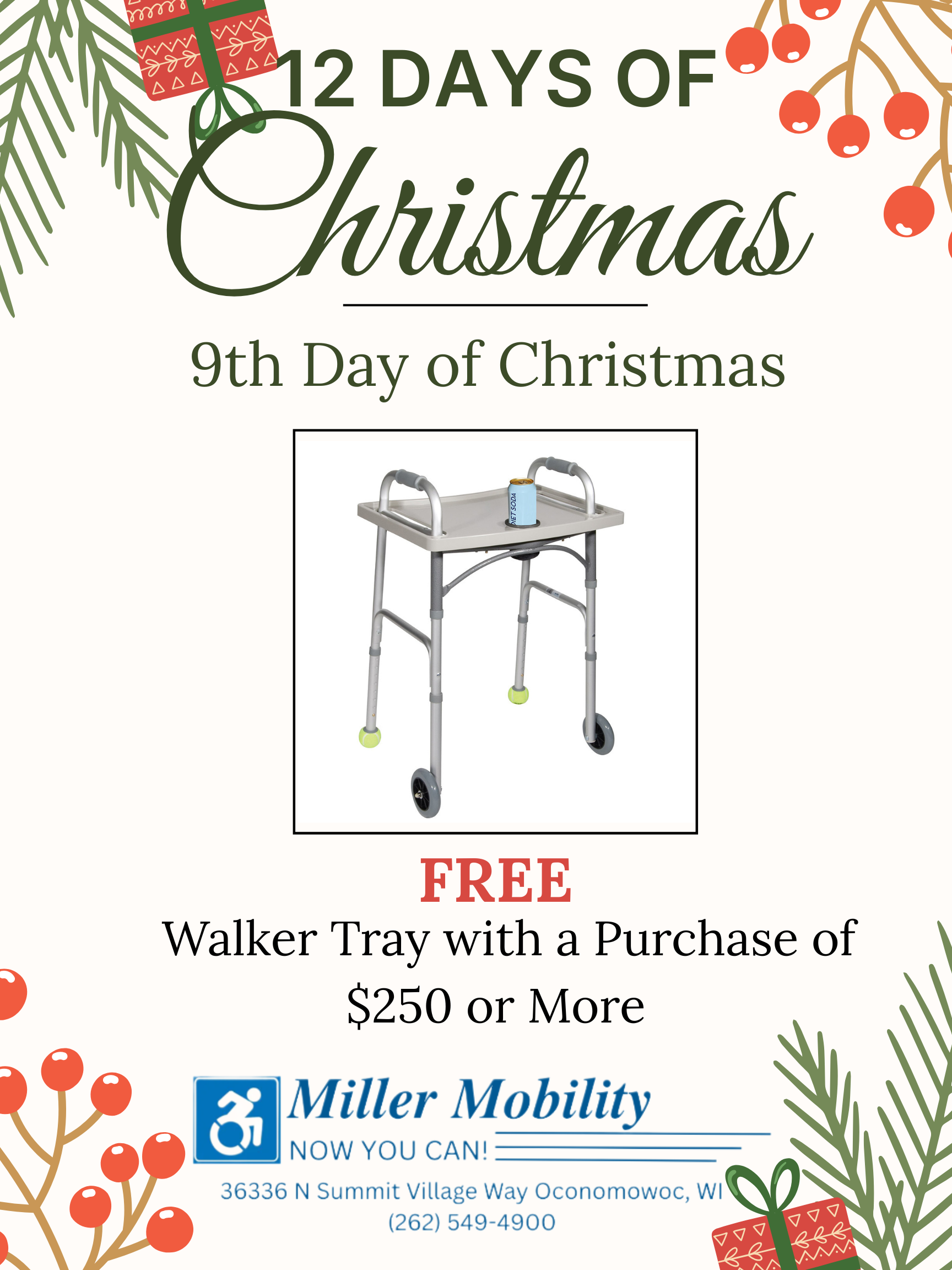 12 Days of Christmas Ad