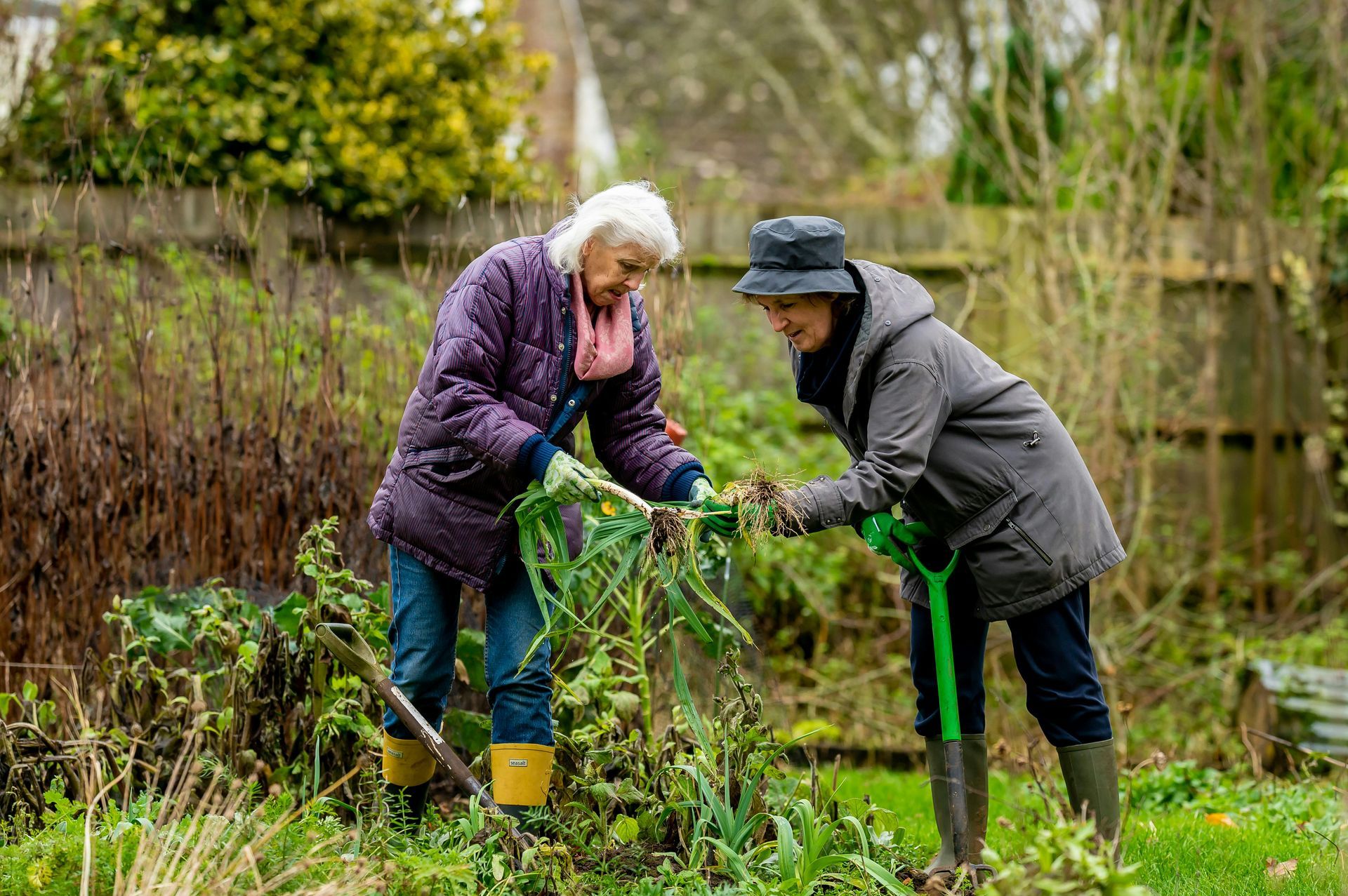 Two elderly women are working in a garden together.