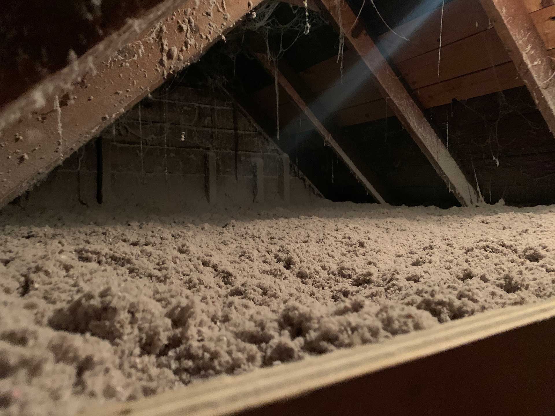 insulation services 51