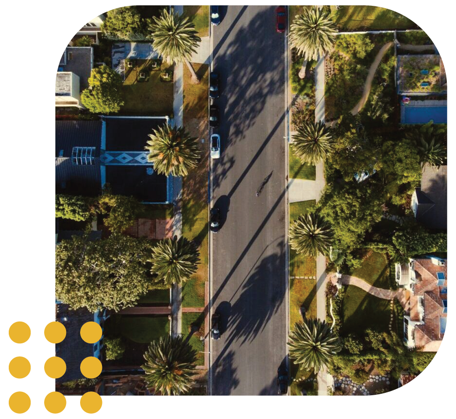 Aerial view of a residential street lined with palm trees and houses, framed by a soft, rounded corner border.