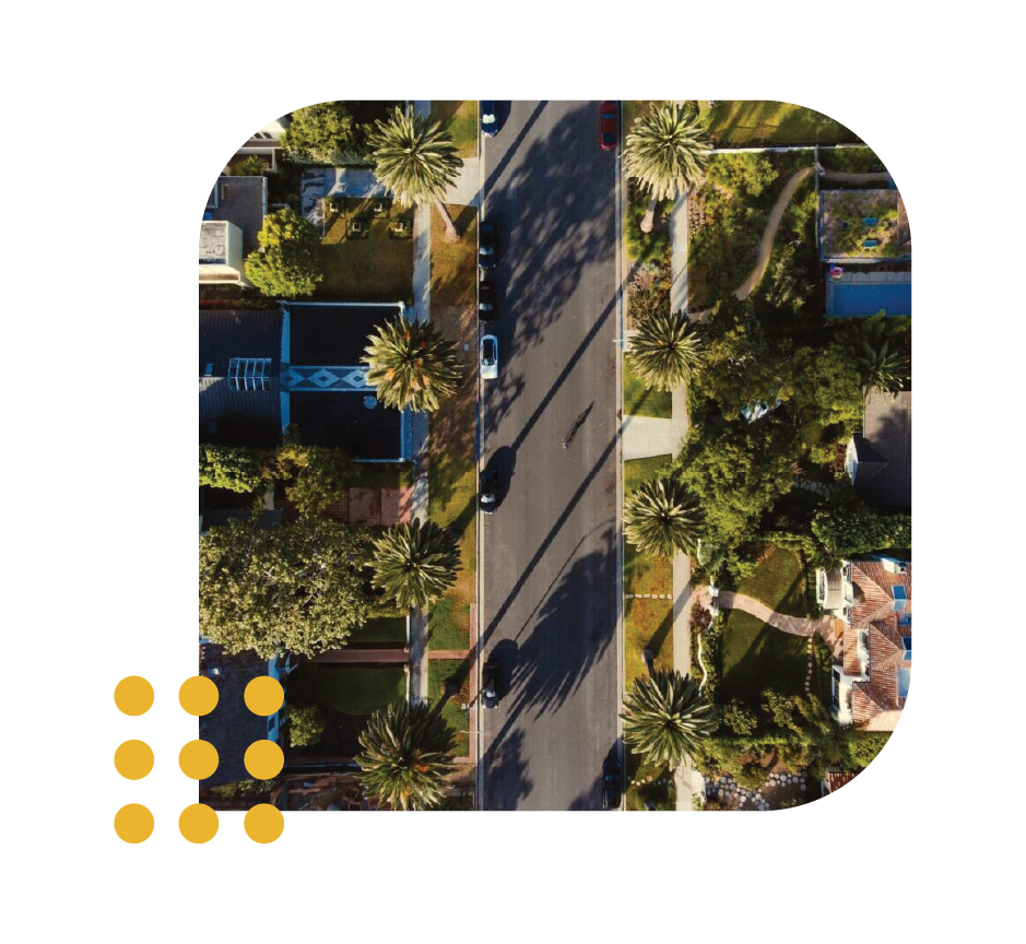Aerial view of a residential street lined with palm trees and houses, framed by a soft, rounded corner border.