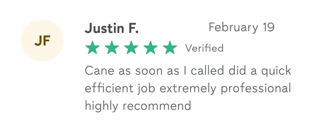 A 5-star review from Justin F. dated February 19, praising Cano for being professional, quick, and efficient.