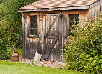 A weathered wooden shed with a dark roof and a diagonal door brace, surrounded by shrubs and grass.