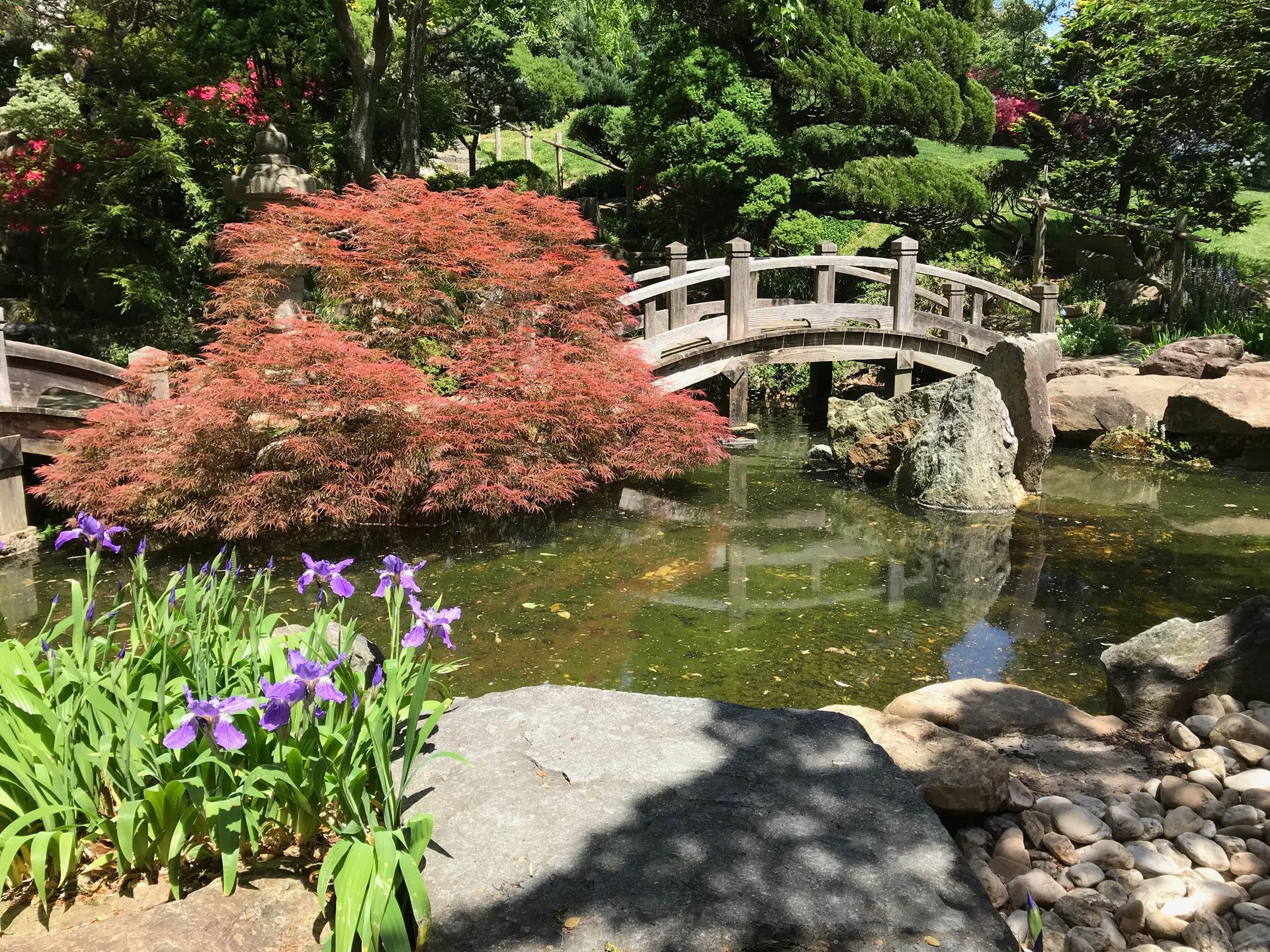 A wooden bridge over a pond in a park