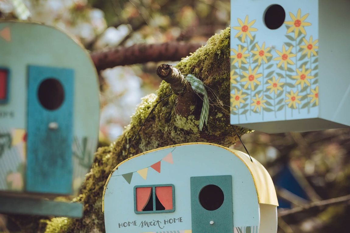 A birdhouse in the shape of a camper is sitting on a tree branch.
