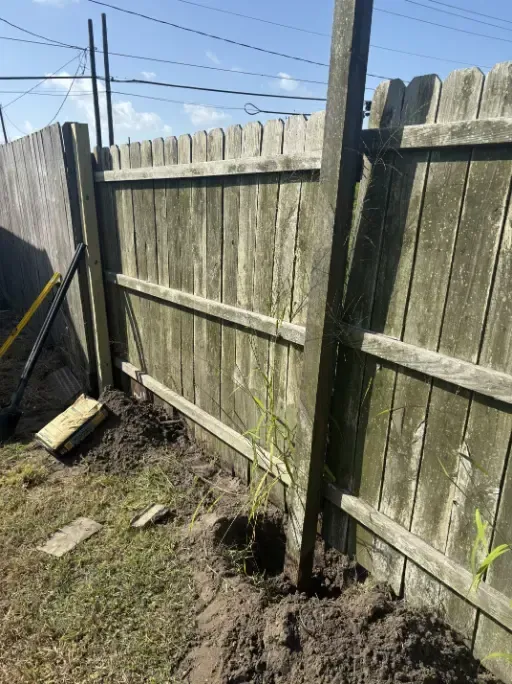 A wooden fence with a small plant in the dirt, with gardening tools nearby.