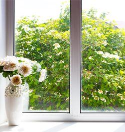 Glass Contractor — White flowers and window in Little Falls, NJ