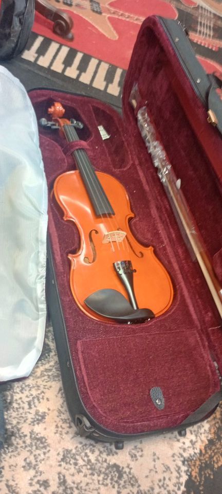 4/4 Sized Violin